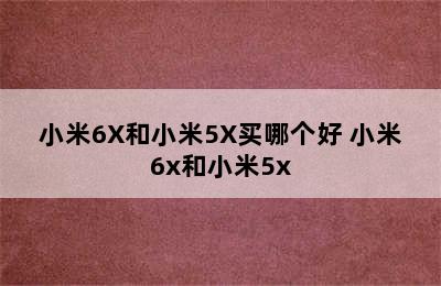 小米6X和小米5X买哪个好 小米6x和小米5x